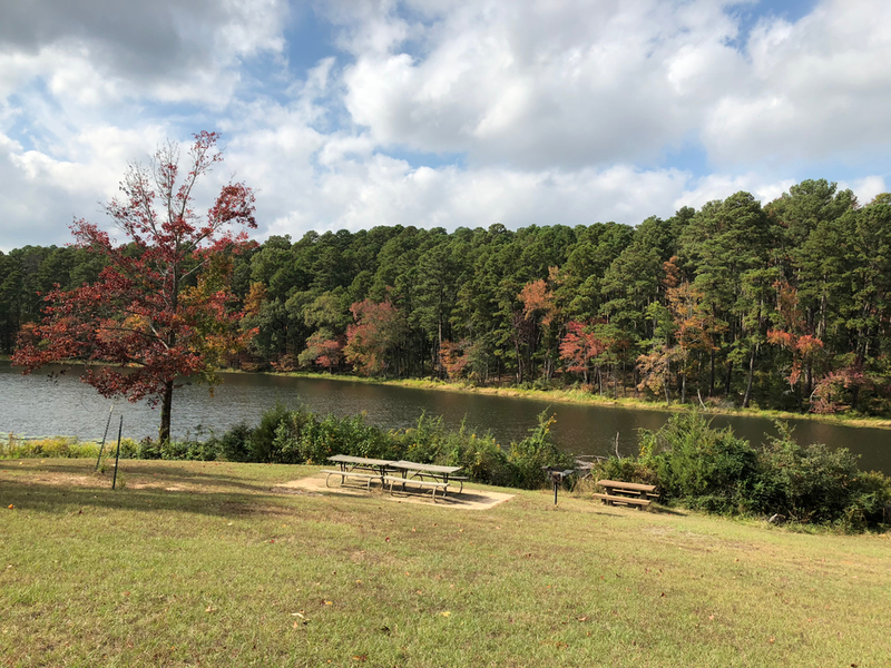 Daingerfield State Park in Texas
