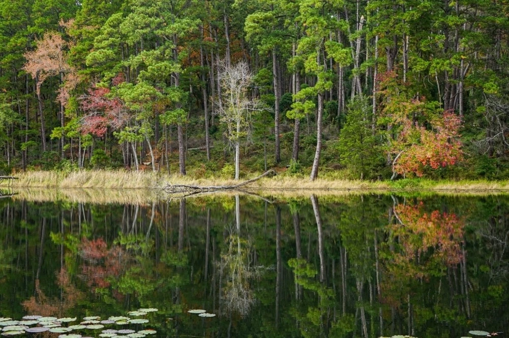 Daingerfield State Park lake with fall foliage